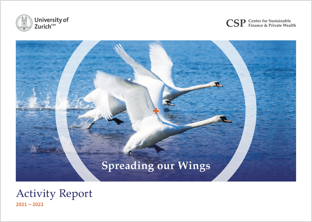CSP Activity Report 2020-2021